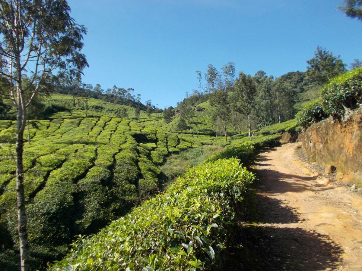 Greenview Holiday Inn Munnar Exteriör bild